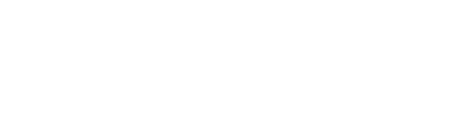 Cougar Companies