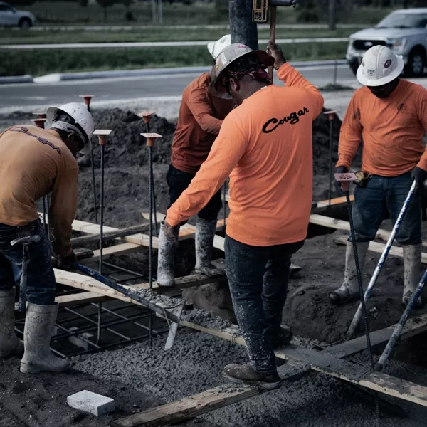 Apex Commercial Site